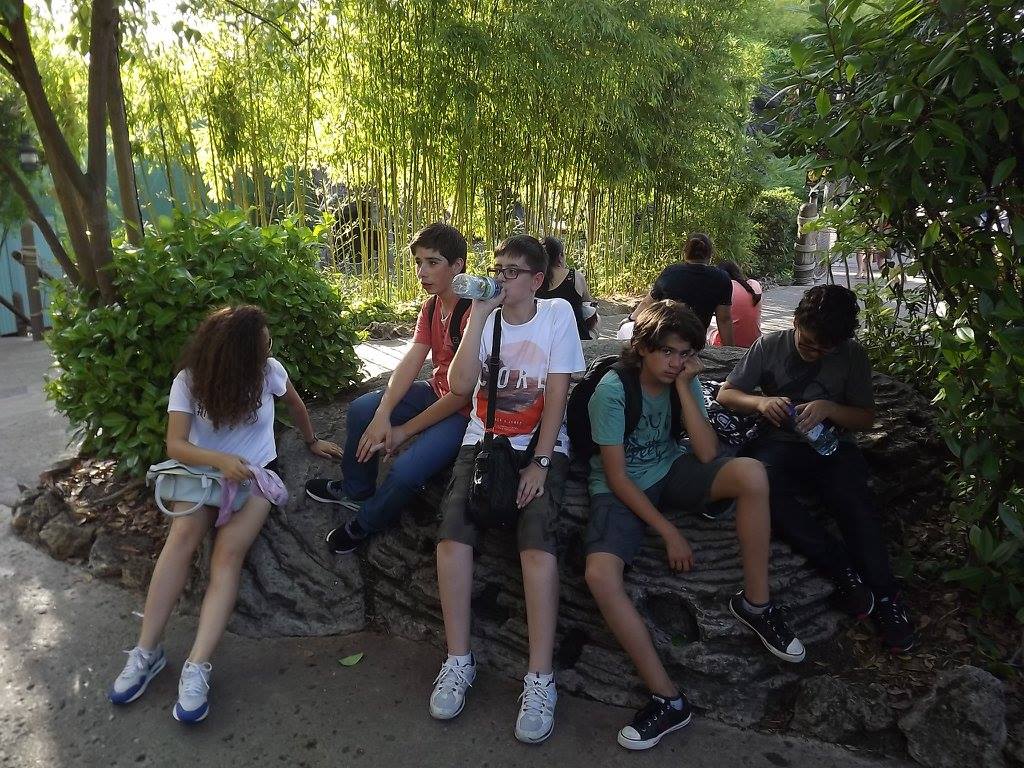 Galeri Fotoğrafı